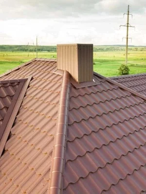 Affordable roof painting service