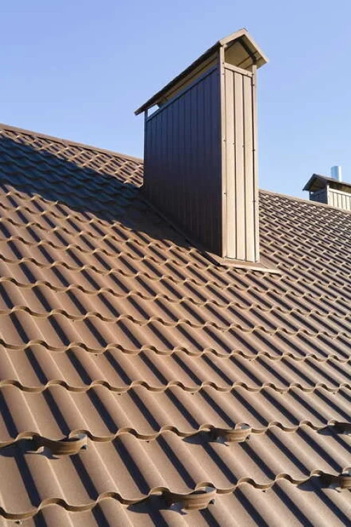 Expert roof cleaning service