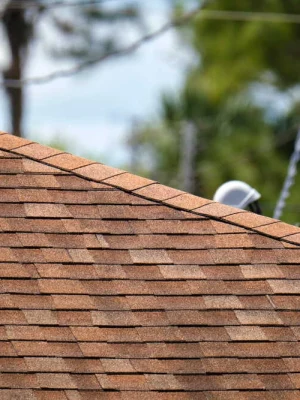 Trusted roof cleaning service