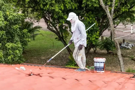 roof painting service